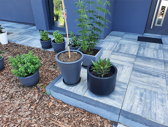 SLIDER__0014_50x50 zimny popiel (4) — kopia